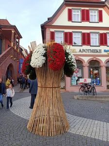 Img.2022.10.30