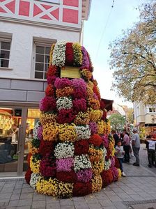 Img.2022.10.30