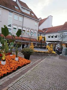 Img.2022.10.30