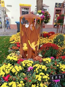 Img.2022.10.30
