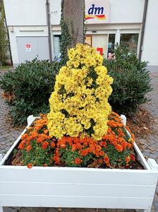 Img.2022.10.30