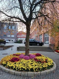 Img.2022.10.30