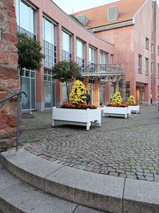 IMG2022.10.30