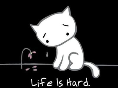 10408766_747590135371060_5733289962102463864_n-1