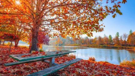 115181120_LZZHAZT3-1