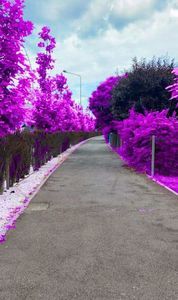 114577848_MWBYZWD-1