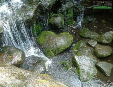 115135697_YDVRIFO-1