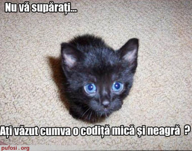 17734617_IQDVMKSDC