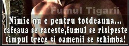 95969166_ODOGVYM3-1-1