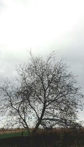 115253501_ZZVALHC-1