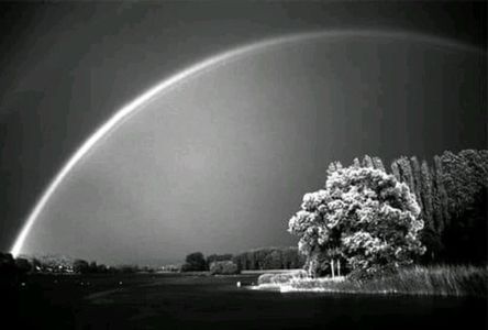 114895488_WCEYGRS3-1