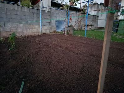 Img.2022.11.01- mulțumesc Danymary pt idee ❤️