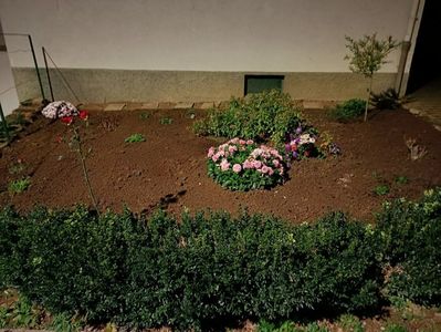 Img.2022.11.01- iarăși pe întuneric :(; Chiar dacă s-a înnoptat am plantat doar lalele și narcise! Peste drum e un stâlp de iluminat :)
