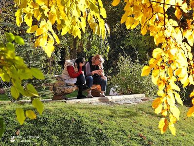 w-TOAMNA IN PARK - AUTUMN IN THE PARK