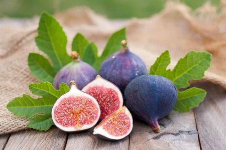 fig-growing-problems