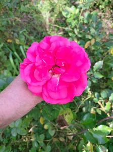 IMG20221105104513
