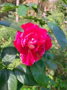IMG20221105103452