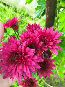 IMG20221105103106