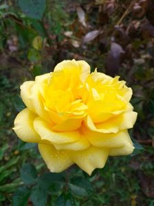 IMG20221105095154