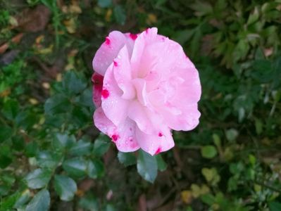 IMG20221105095100