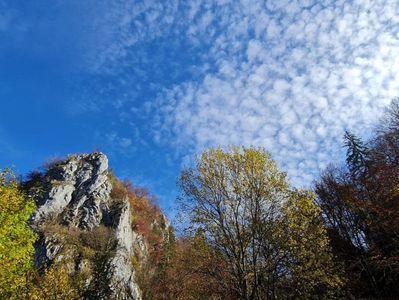 image-2022-11-4-25884353-41-peisaj-toamna