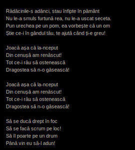 115272214_BIUSHXT
