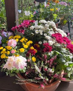F050EFFA-8922-47CE-9B7C-31C9DBF693FE