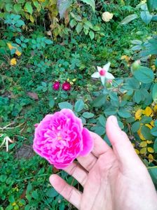 IMG20221110165047