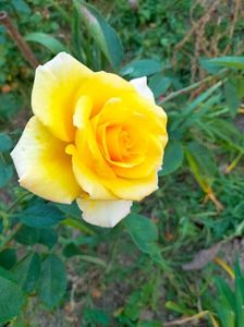 IMG20221110163938