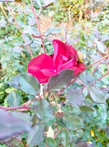 IMG20221110163925