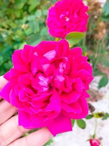 IMG20221107115459