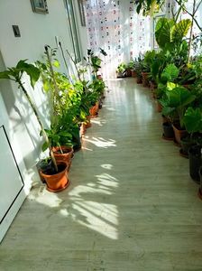 IMG20221112130704