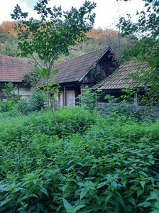 IMG-20221113-WA0004