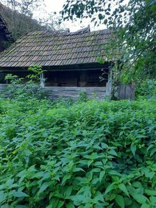 IMG-20221113-WA0002