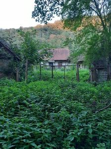IMG-20221113-WA0007