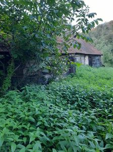 IMG-20221113-WA0006