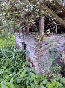 IMG-20221113-WA0003