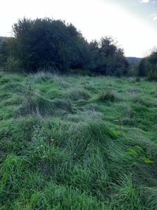 IMG-20221113-WA0001