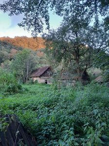 IMG-20221113-WA0000