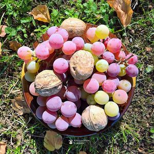 w-Fructe de toamnă - Autumn fruits