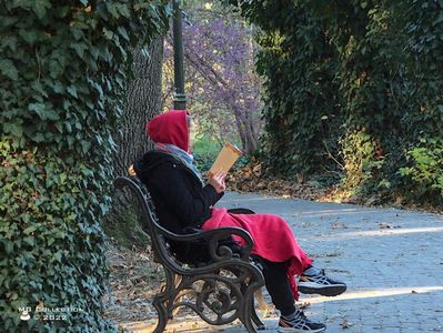 w-Fata care citește - Reading Girl