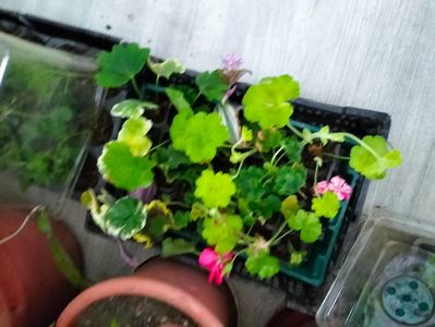 IMG20221118141813