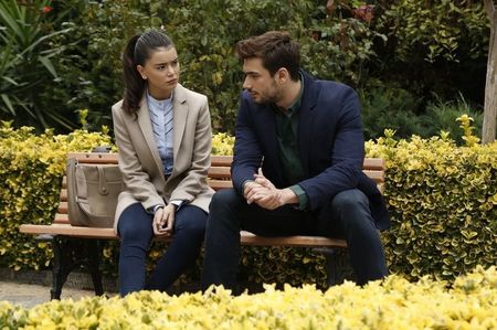 Gul, Sarp