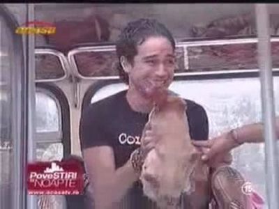 42321616_INCVGLFGW
