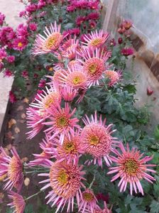 received_680144330157208