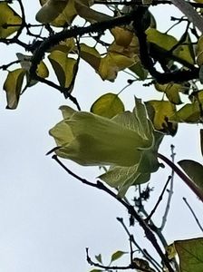 Img.2022.11.27