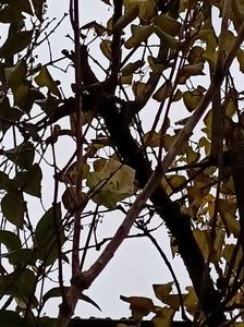 Img.2022.11.28