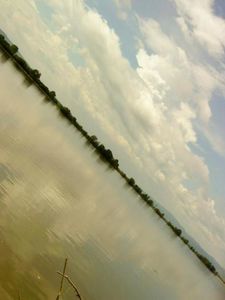 15223917_DZTLKQUOL