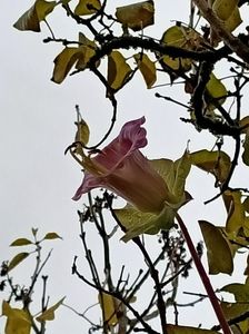 Img.2022.11.30