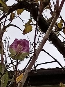 Img.2022.12.01
